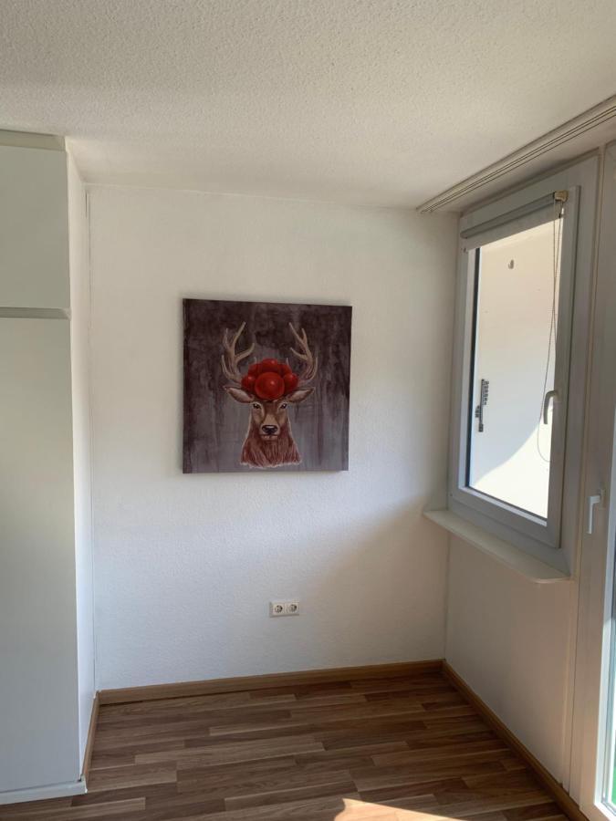 Kmh 1 Zi-Apartment Sankt Blasien Exteriör bild